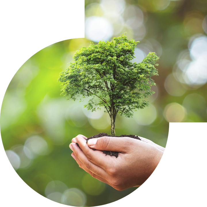 关怀人类、文化、环境与社会